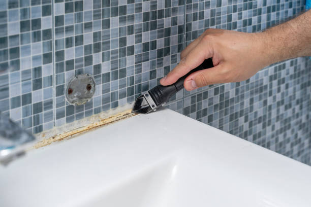 Best Professional Mold Removal  in New Haven, WV