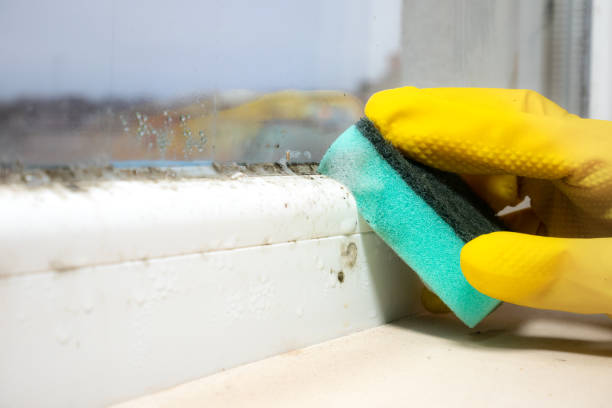 Water Damage Restoration in New Haven, WV